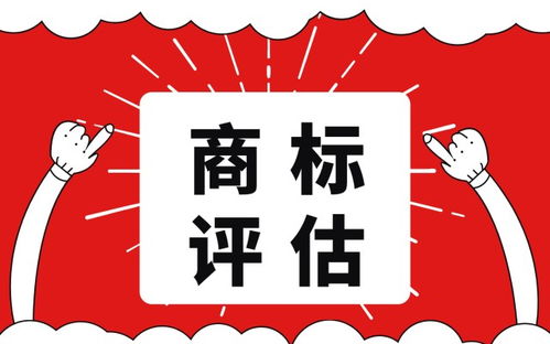 知識產權評估 理論基石與技術轉讓的實踐橋梁